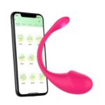 Vibrador Egg Control por App (VE-APP)